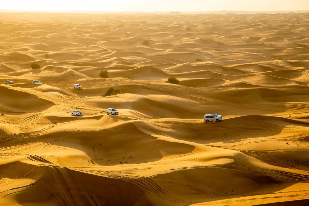 fleet management solutions uae